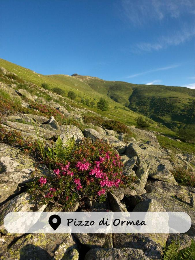 Albergo Ristorante Payarin Ormea Экстерьер фото